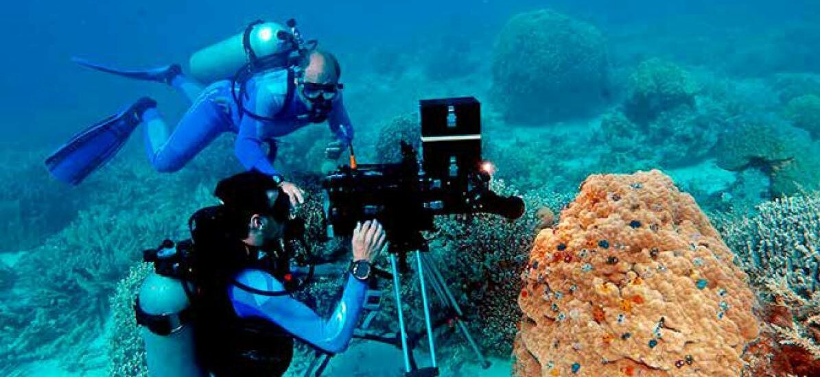 Neuer Filmtipp: „Wonder of the Sea 3D“