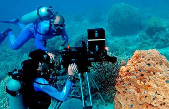 Neuer Filmtipp: „Wonder of the Sea 3D“